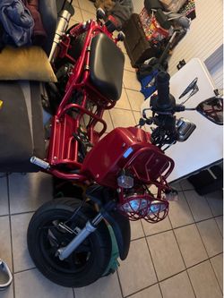 Mad dog ruckus 150cc