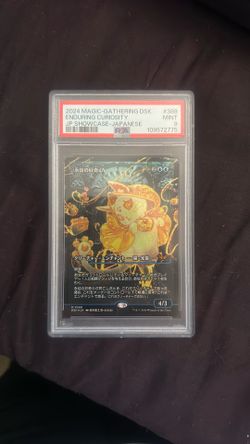 Graded ENDURING CURIOSITY JP Show Case