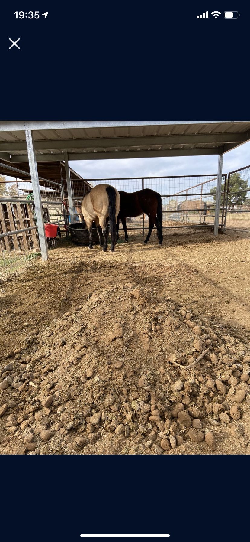 Free Horse Manure