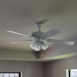 Brand New Fans $35/each 