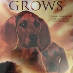 WHERE The RED FERN GROWS (DVD-1974)