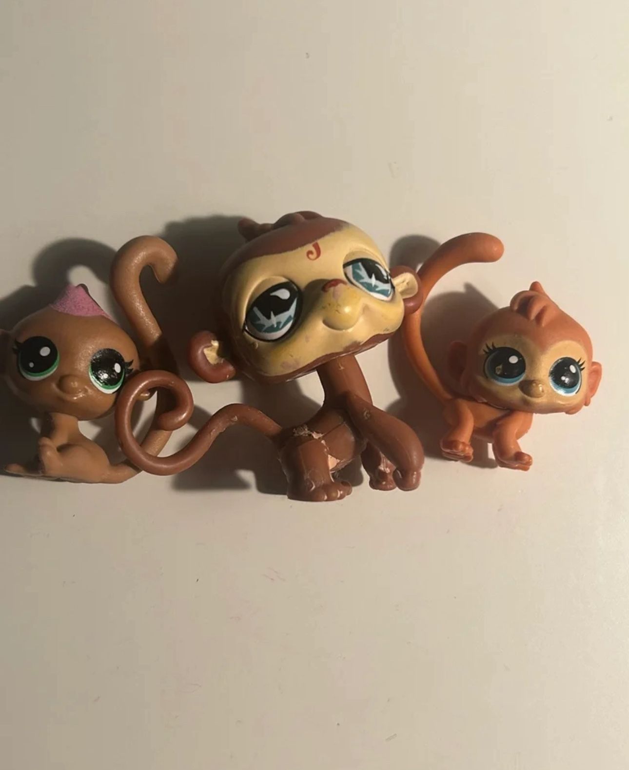 LPS monkeys (485)