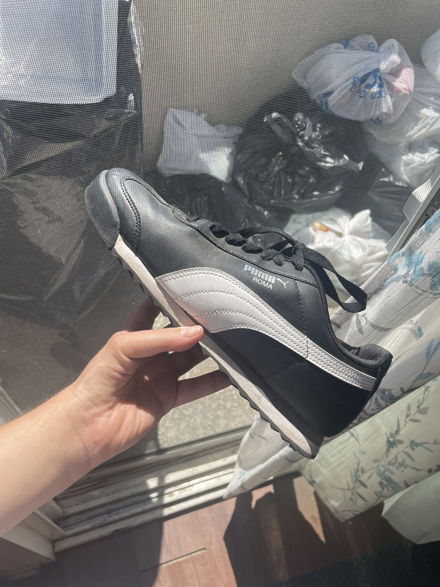 Puma