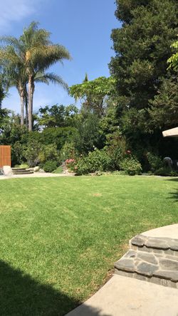 New lawn