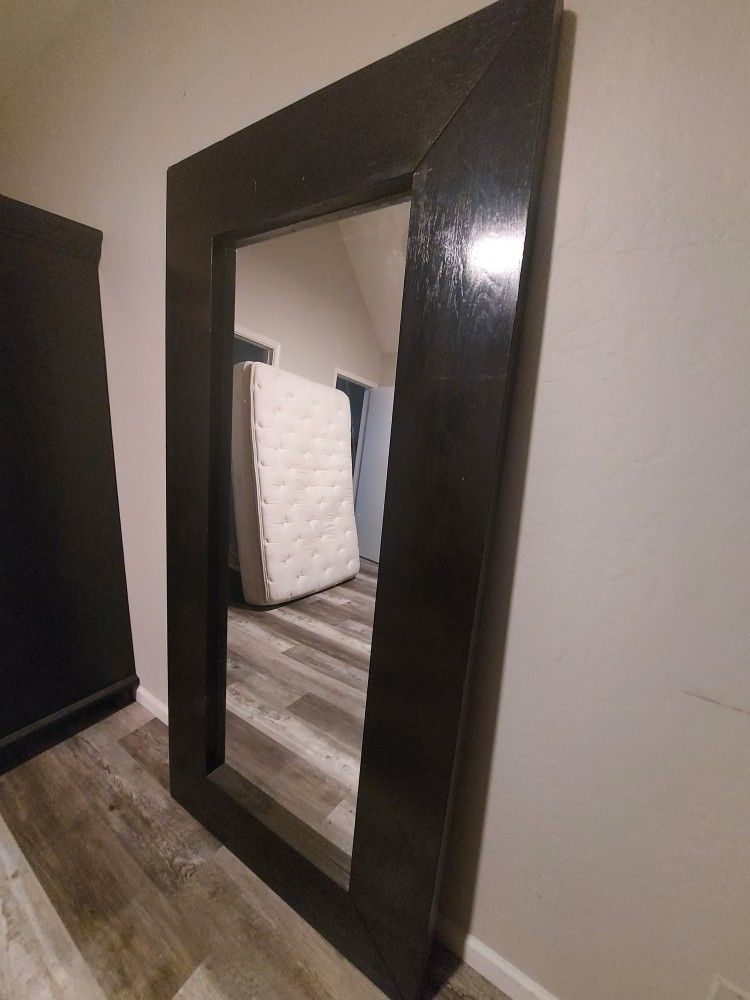 Large Full Body Mirror $40