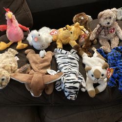 Beanie Baby Collection – 20 