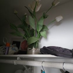 Free White Tulip With Base