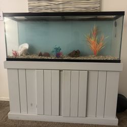 Fish Tank, Filter Pump And Accessories