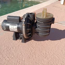 Pool Pump. New