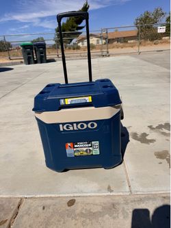Igloo cooler