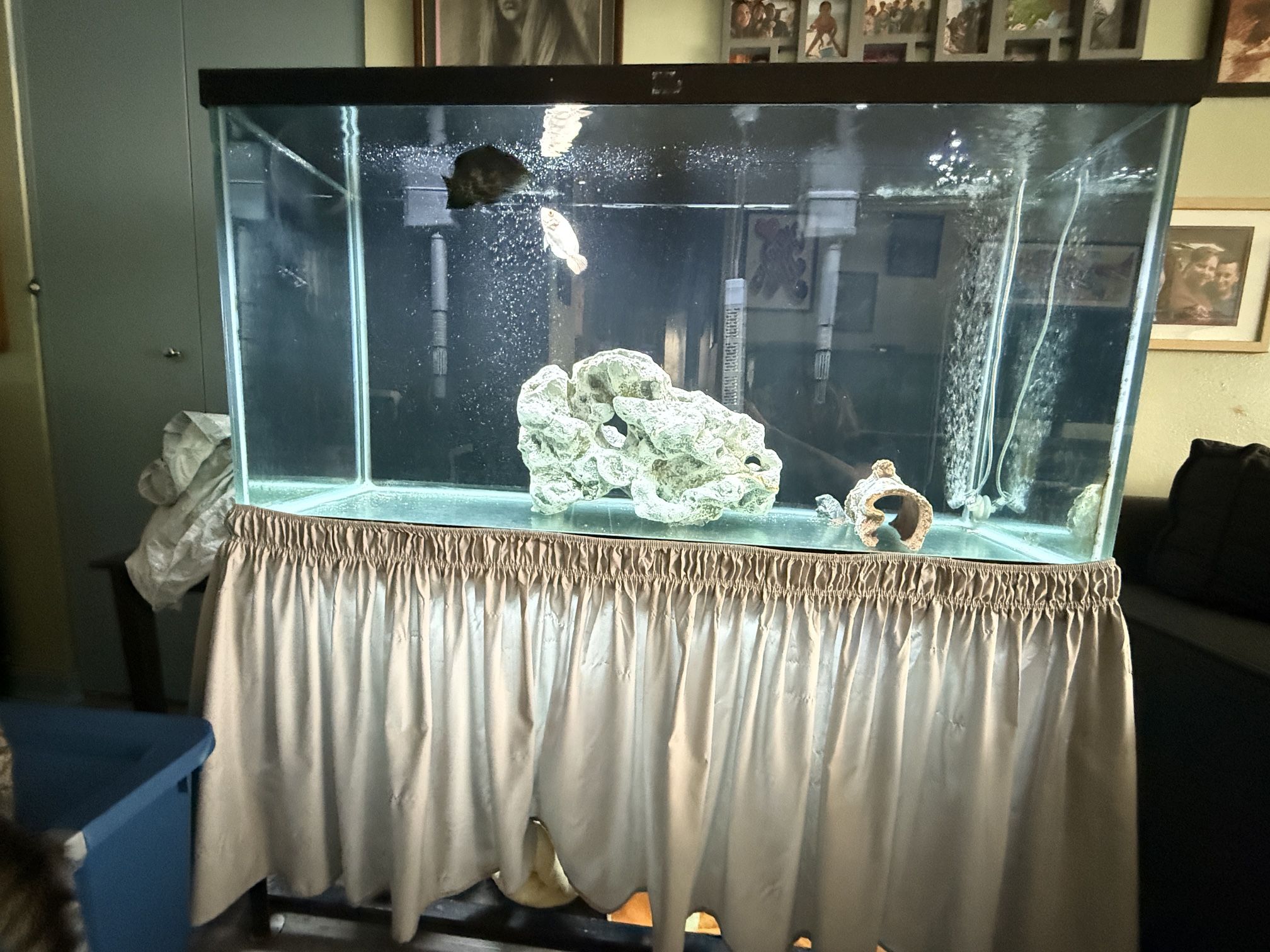 **Price Negotiable***90g Aquarium And Stand Full Set Up With All Accessories