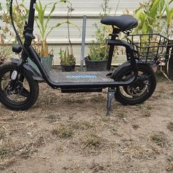 Electric Scooter 