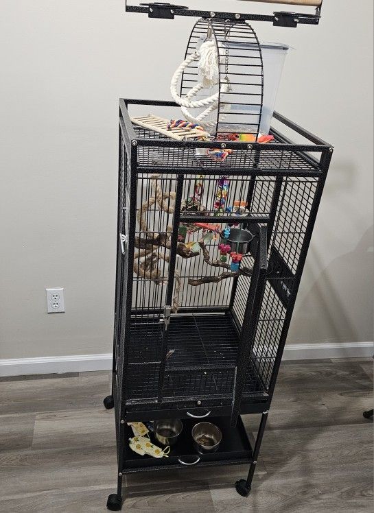 Beautiful Bird Cage