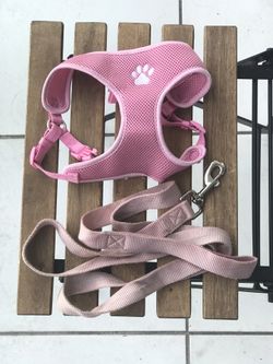 Dog harness size s and 6ft leash