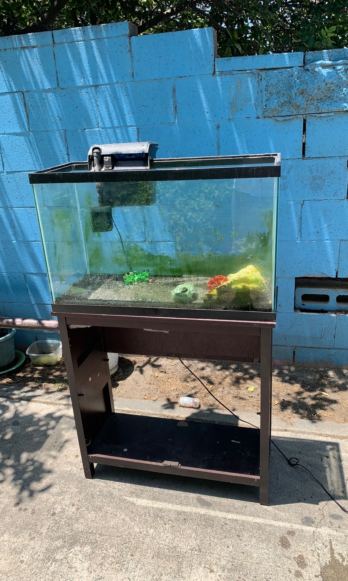 25 gallon fish tank