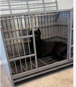 Kennel