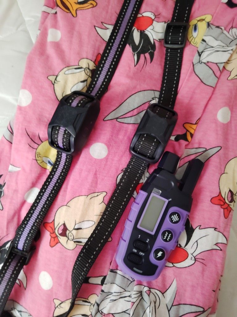 Dog Collar