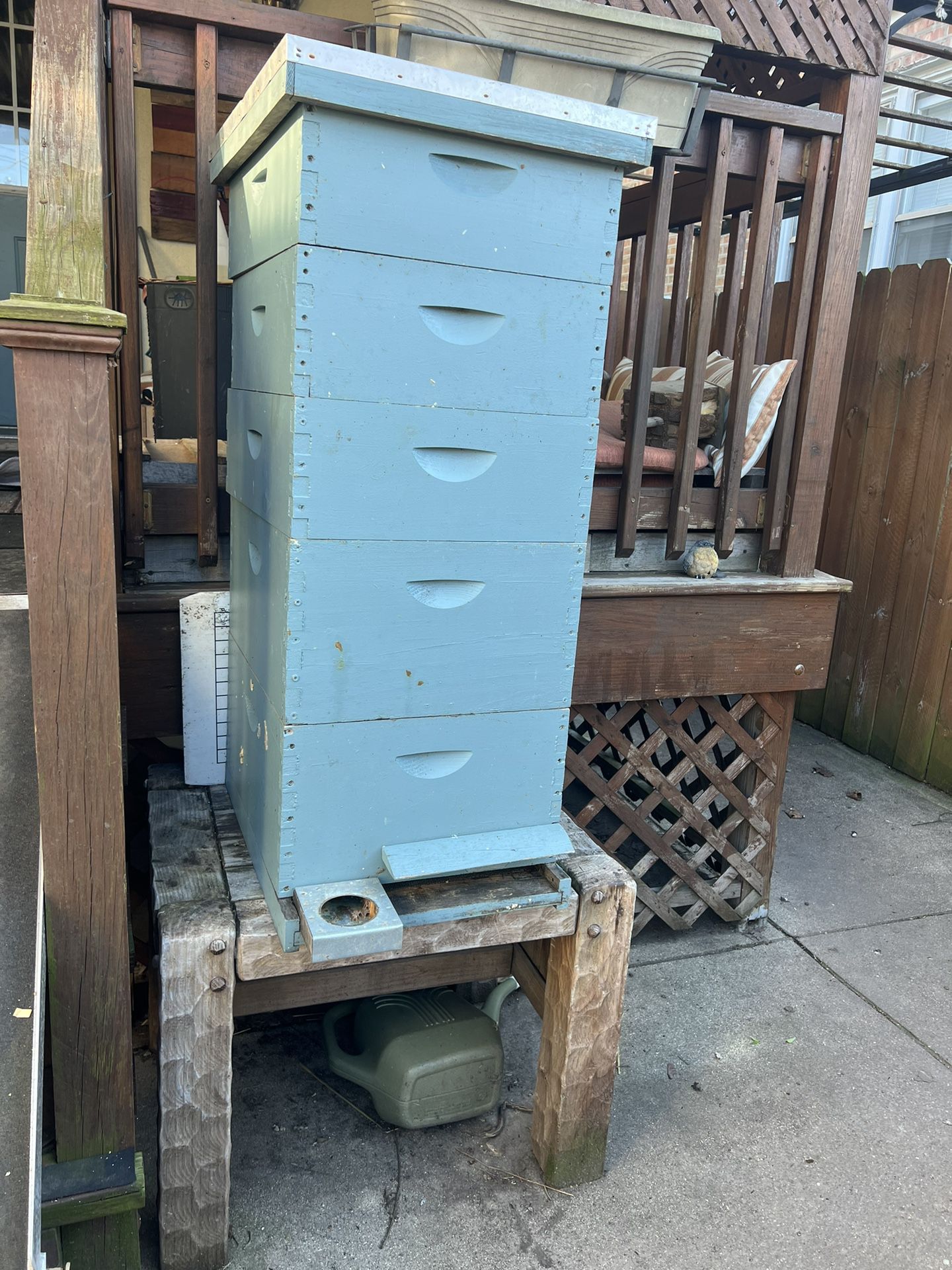 Bee 🐝 Hive For Sell