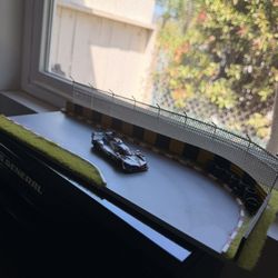 1:64 scale track car display