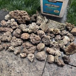 29 Lb Rock For Saltwater Aquarium
