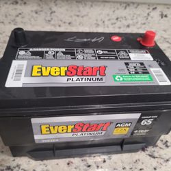 Everstart Platnium Battery Agm Technology New 