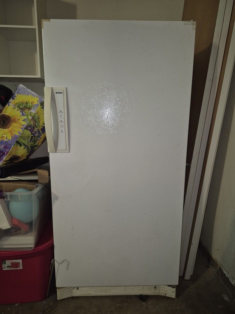 Stand Up Freezer
