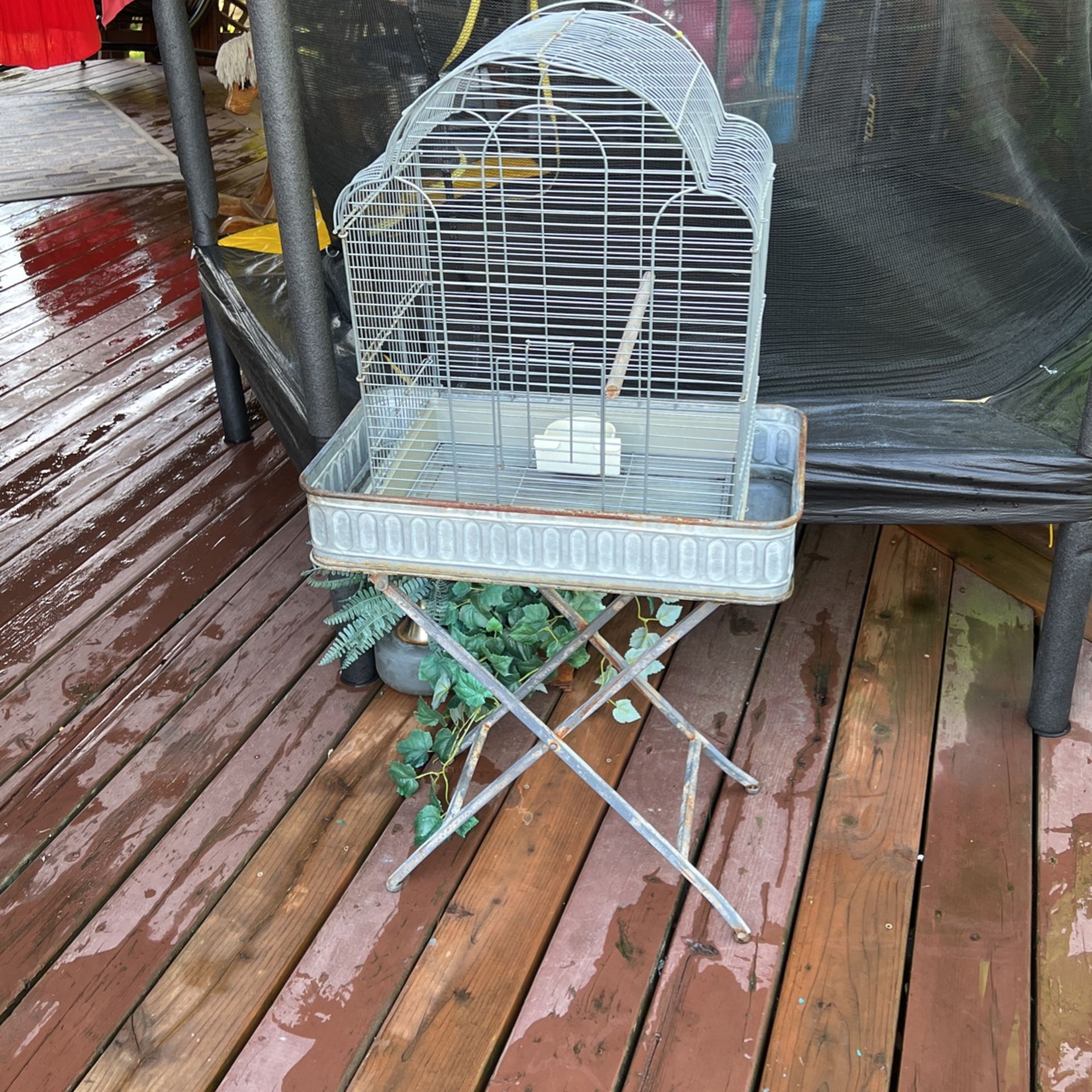 Parrot Cage