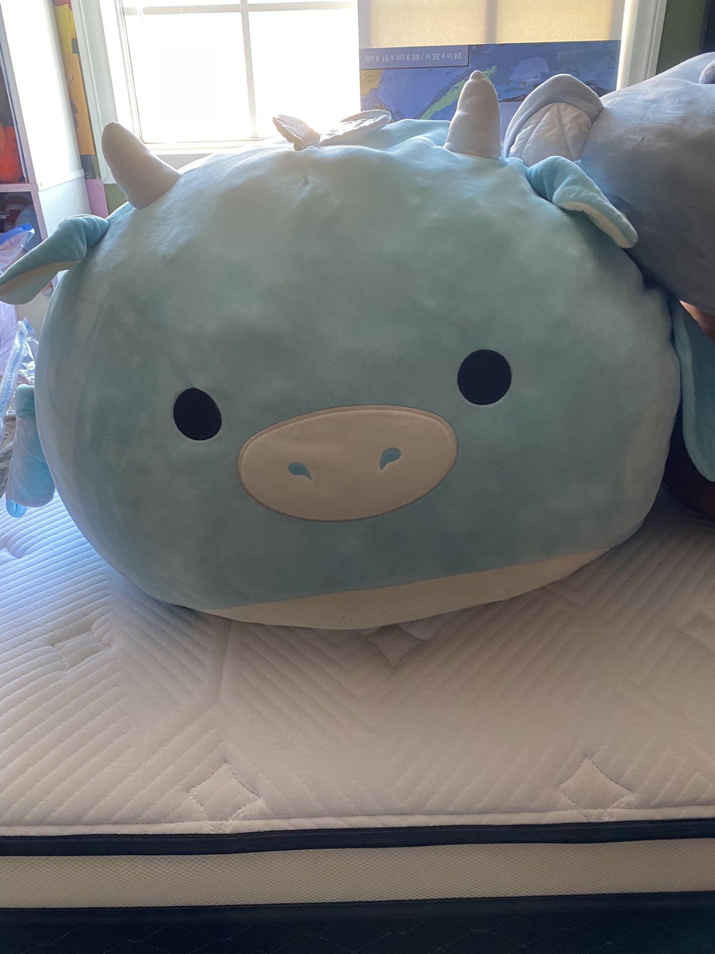 Giant squishmallows