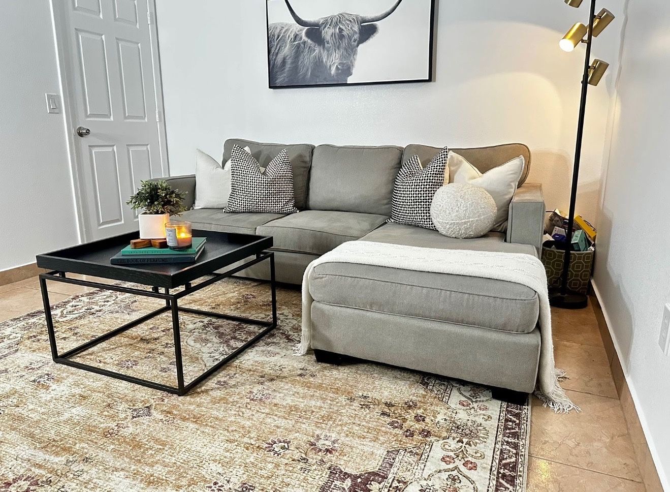 Living Spaces Couch