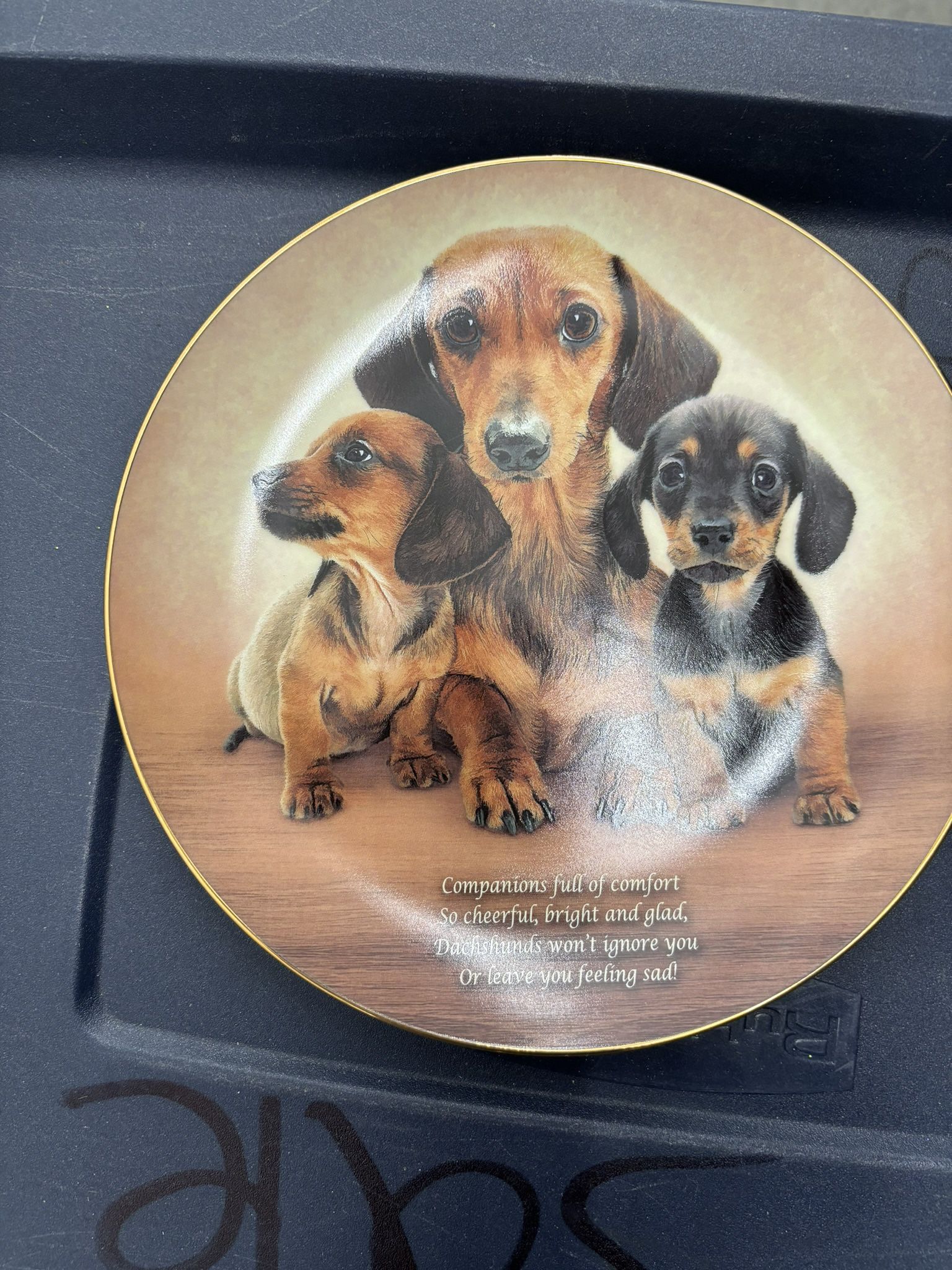  Danbury Mint Limited Edition Collection “ Cherished Dachshunds “ Chins Plate “ Companions”