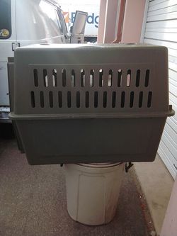 Dog house