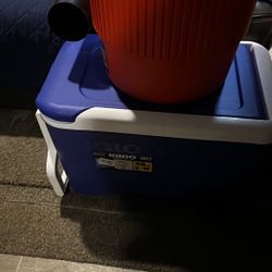 Drink Tubs And Water Bottle Cooler 