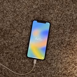 iPhone X