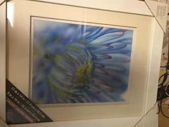 Picture frame