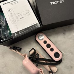 Training collar for small dog