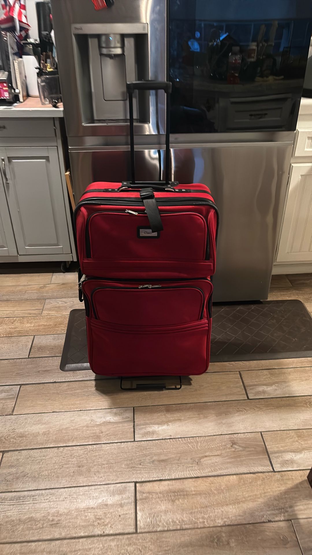 One Huge Check On Luggage