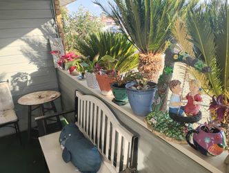 Estate Sale 2/3-2/4 beautiful Plants For Sale, ⛲ Fountain