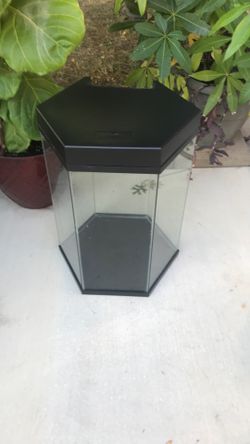Fish Tank