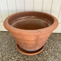 Clay flower pots 