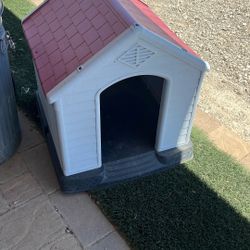 Small House For Small Dogs 🐕 