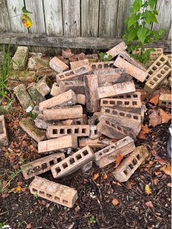 Free bricks