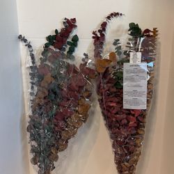2-bouquets Of Eucalyptus 