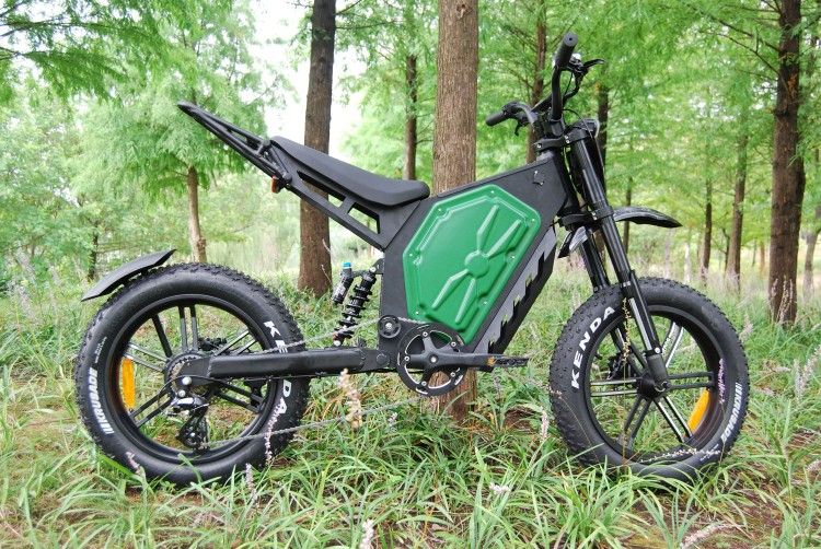 ⚡️⚡️1000W Electric Bike⚡️⚡️