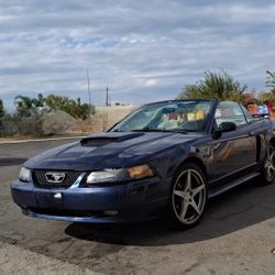 Blue 2003 Mustang GT