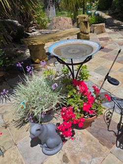 Outdoor Bird Bath, Assorted Potted plants and cat statue