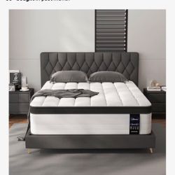 King Sized Bed 
