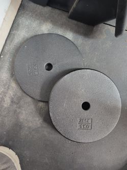 20 lb weight plates