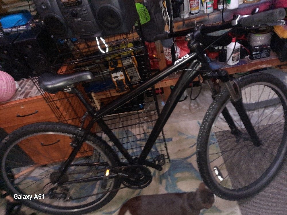 Schwinn 29in. Mountain Bike