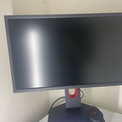 BenQ Zowie Pro Monitor