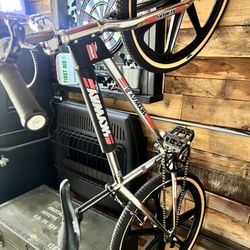 Skyway Bmx Bicycle  24”